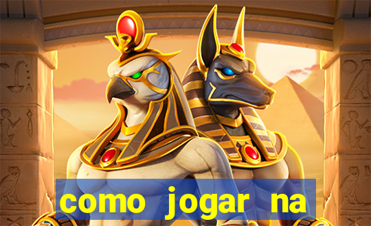 como jogar na lotinha do jogo do bicho